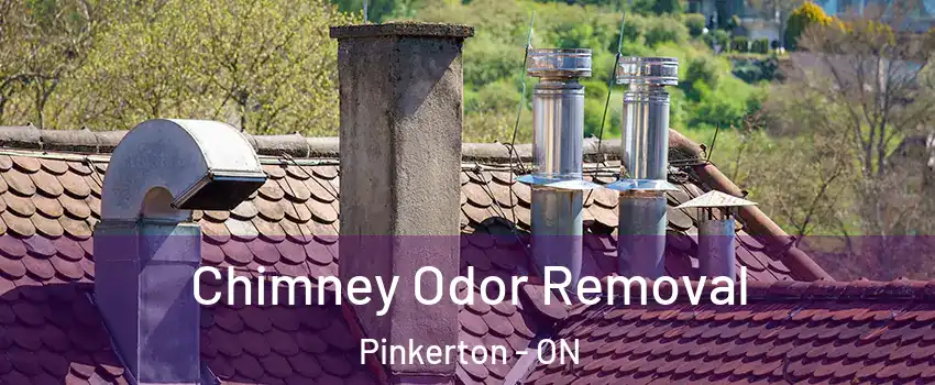  Chimney Odor Removal Pinkerton - ON
