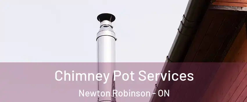  Chimney Pot Services Newton Robinson - ON
