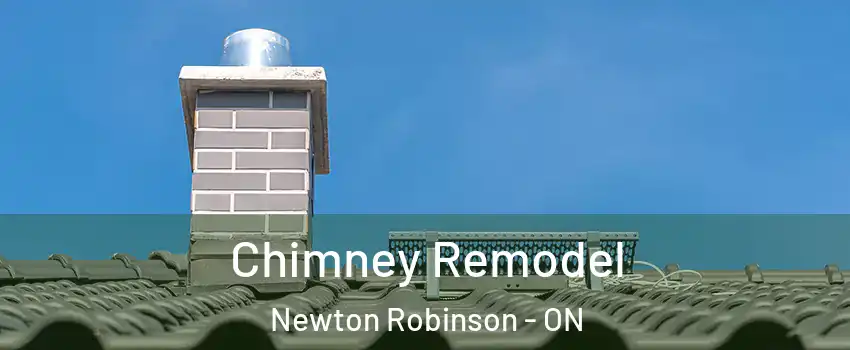  Chimney Remodel Newton Robinson - ON