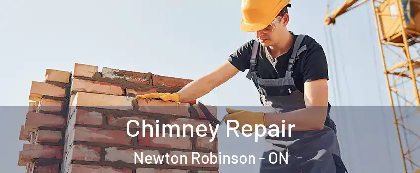  Chimney Repair Newton Robinson - ON