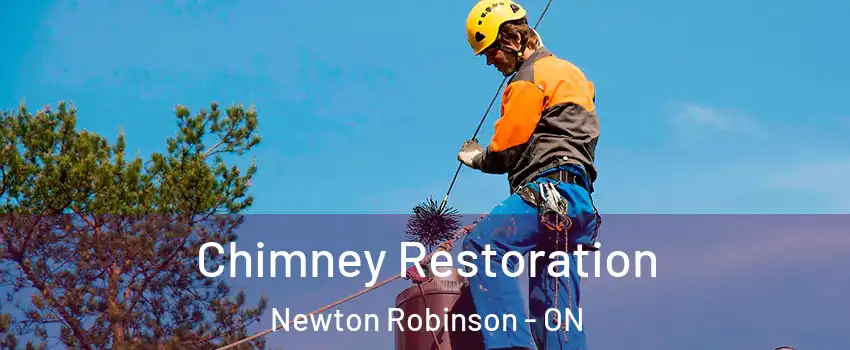  Chimney Restoration Newton Robinson - ON