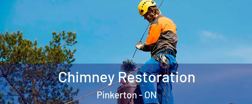  Chimney Restoration Pinkerton - ON