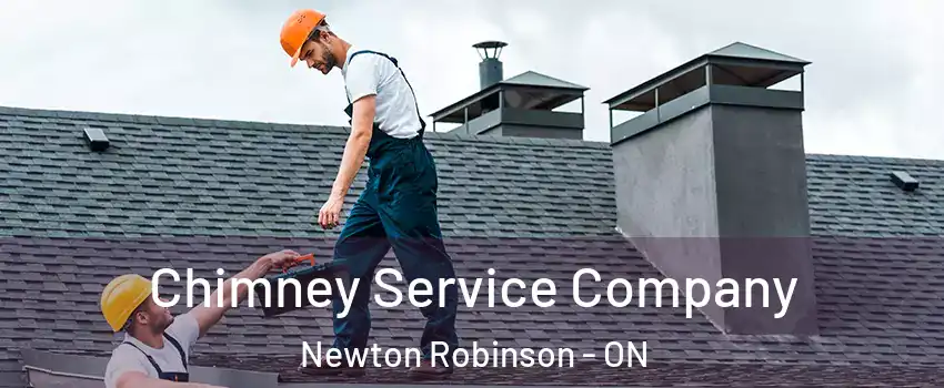  Chimney Service Company Newton Robinson - ON