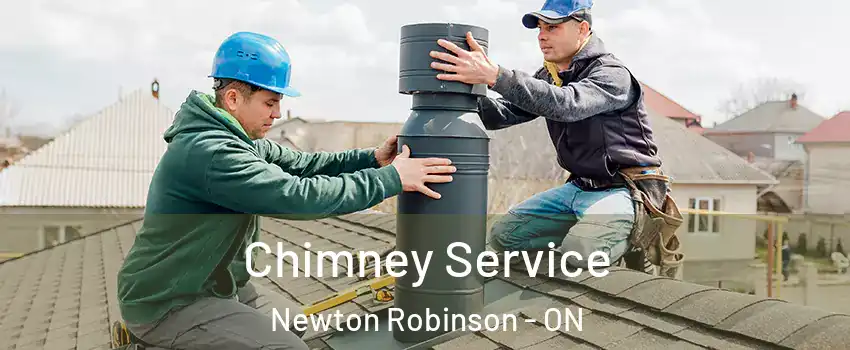  Chimney Service Newton Robinson - ON