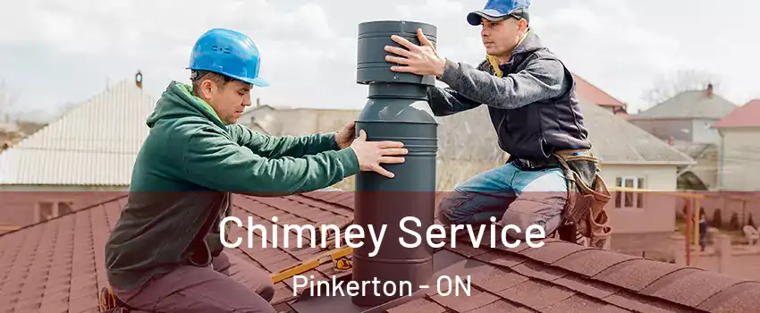  Chimney Service Pinkerton - ON