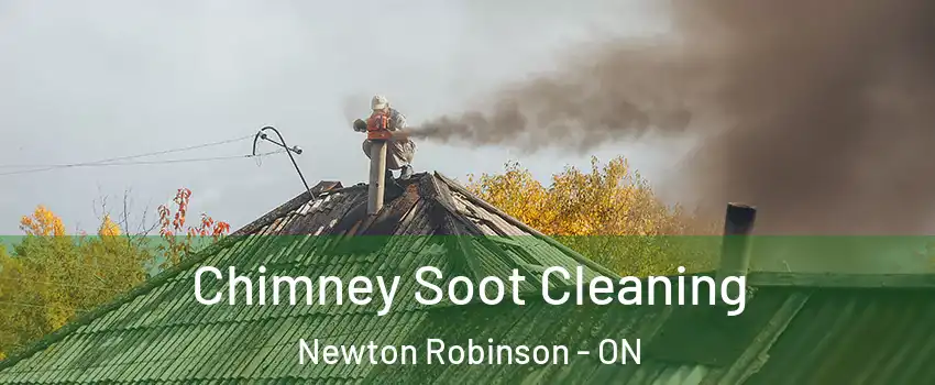  Chimney Soot Cleaning Newton Robinson - ON