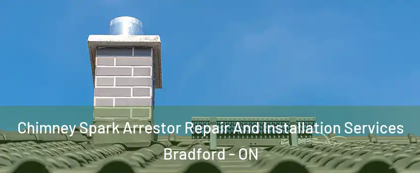  Chimney Spark Arrestor Repair And Installation Services Bradford - ON