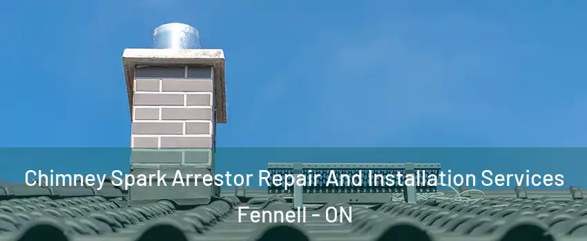  Chimney Spark Arrestor Repair And Installation Services Fennell - ON