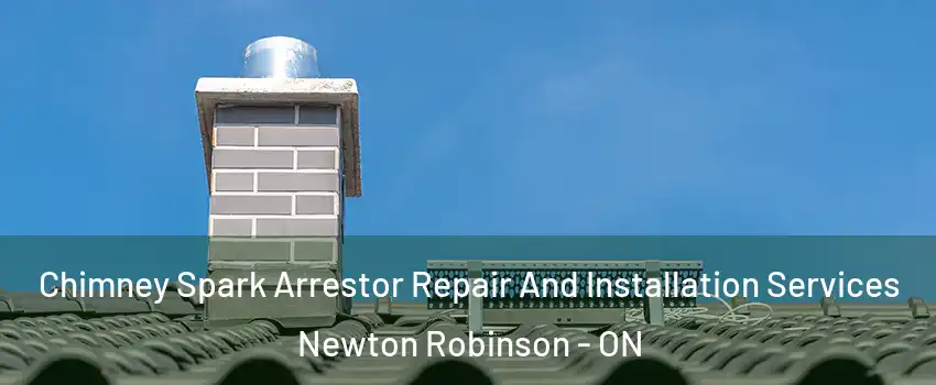  Chimney Spark Arrestor Repair And Installation Services Newton Robinson - ON