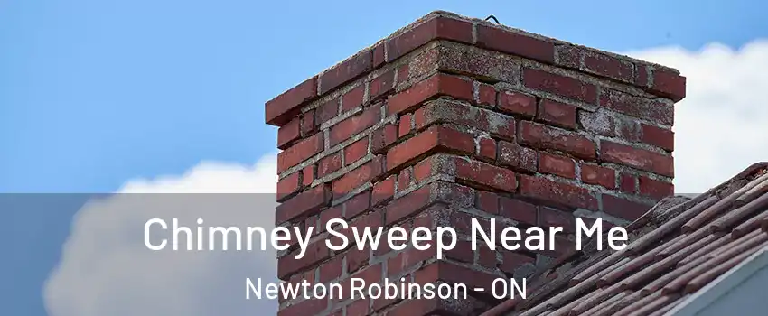  Chimney Sweep Near Me Newton Robinson - ON