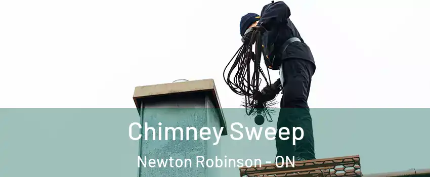  Chimney Sweep Newton Robinson - ON