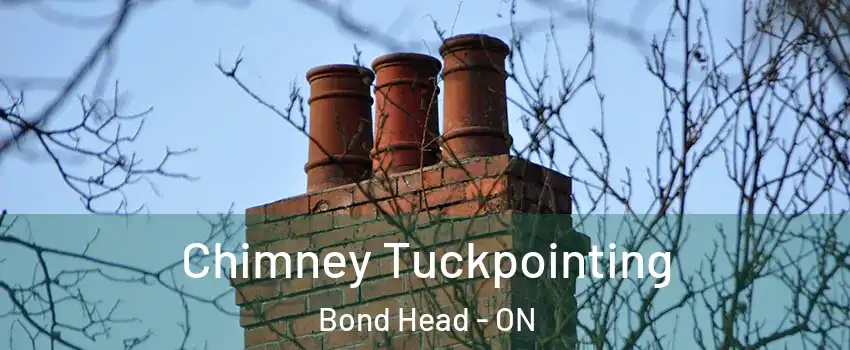  Chimney Tuckpointing Bond Head - ON