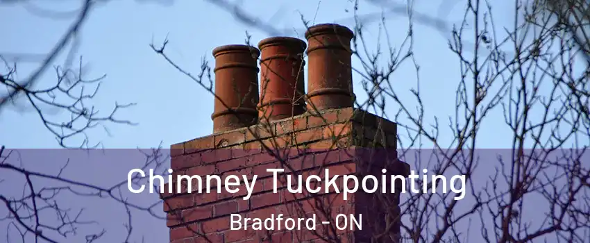  Chimney Tuckpointing Bradford - ON