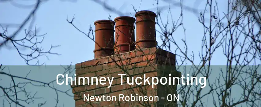 Chimney Tuckpointing Newton Robinson - ON