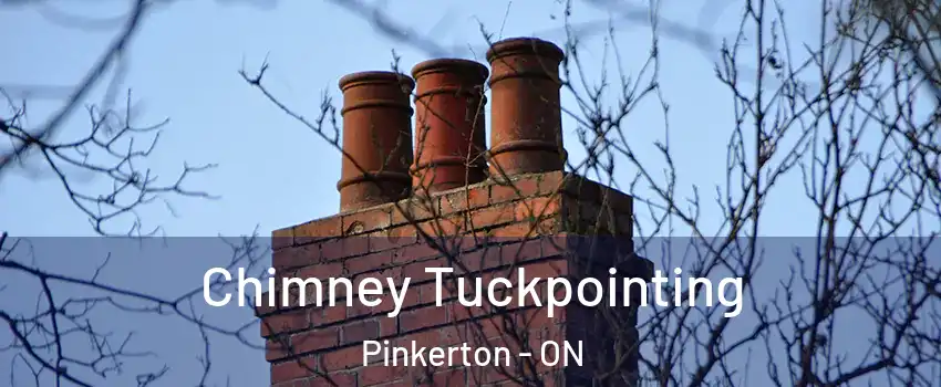  Chimney Tuckpointing Pinkerton - ON