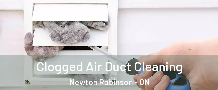  Clogged Air Duct Cleaning Newton Robinson - ON