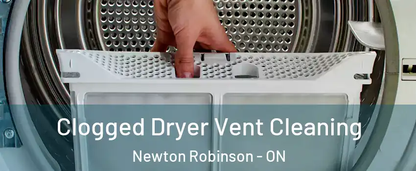  Clogged Dryer Vent Cleaning Newton Robinson - ON