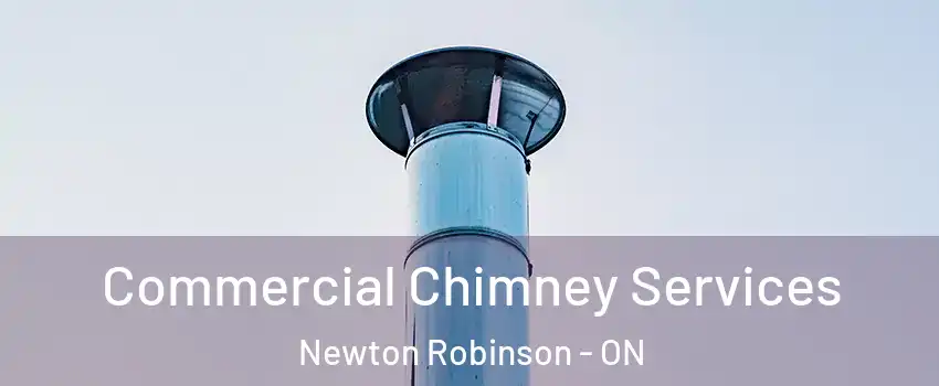  Commercial Chimney Services Newton Robinson - ON