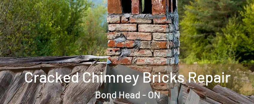  Cracked Chimney Bricks Repair Bond Head - ON