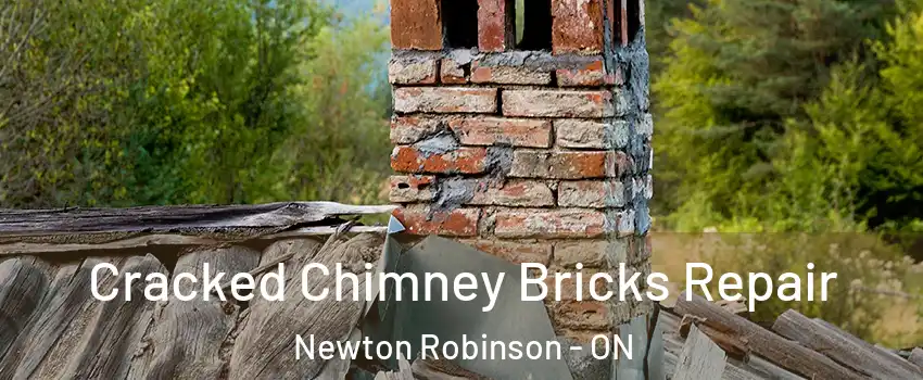  Cracked Chimney Bricks Repair Newton Robinson - ON