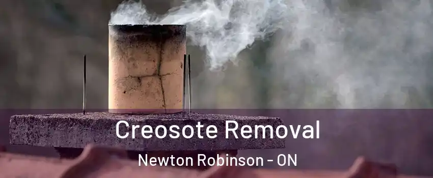  Creosote Removal Newton Robinson - ON