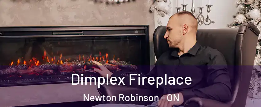  Dimplex Fireplace Newton Robinson - ON