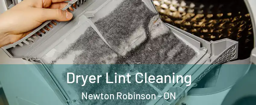  Dryer Lint Cleaning Newton Robinson - ON