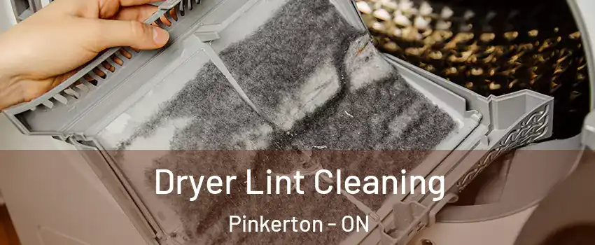  Dryer Lint Cleaning Pinkerton - ON