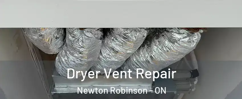  Dryer Vent Repair Newton Robinson - ON