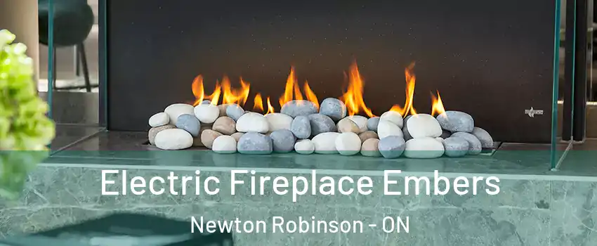  Electric Fireplace Embers Newton Robinson - ON