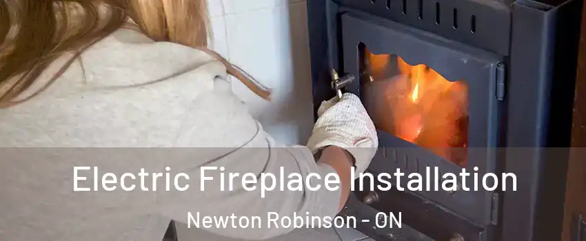  Electric Fireplace Installation Newton Robinson - ON