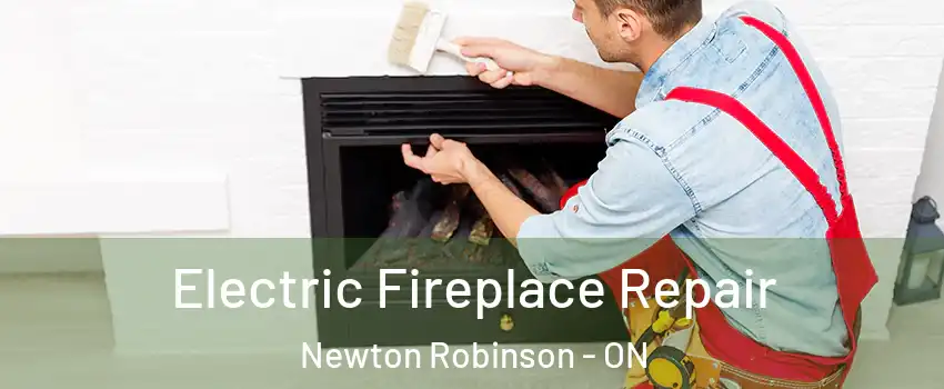  Electric Fireplace Repair Newton Robinson - ON