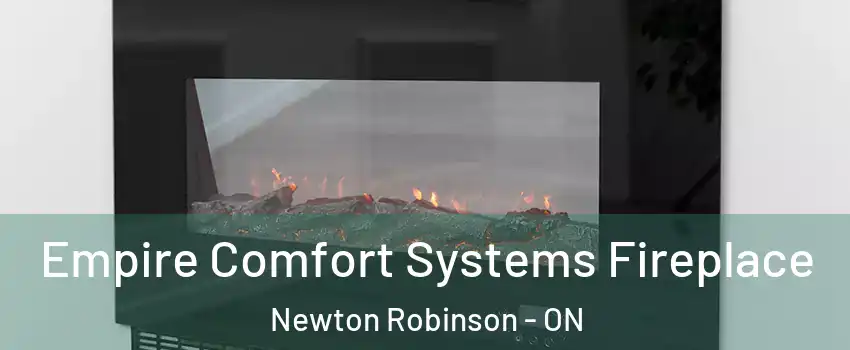 Empire Comfort Systems Fireplace Newton Robinson - ON