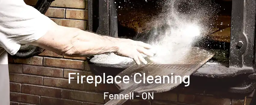  Fireplace Cleaning Fennell - ON
