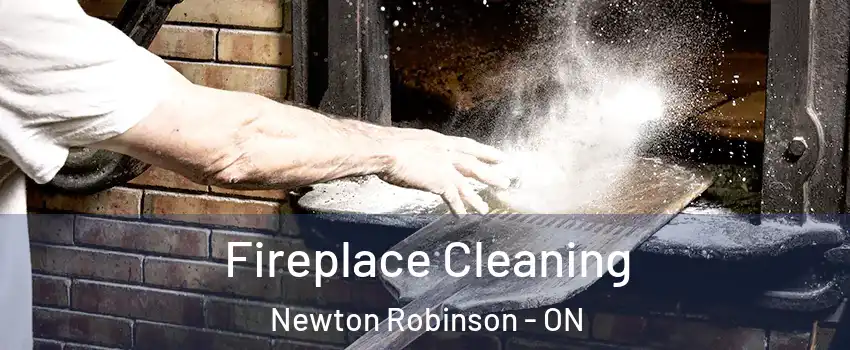  Fireplace Cleaning Newton Robinson - ON