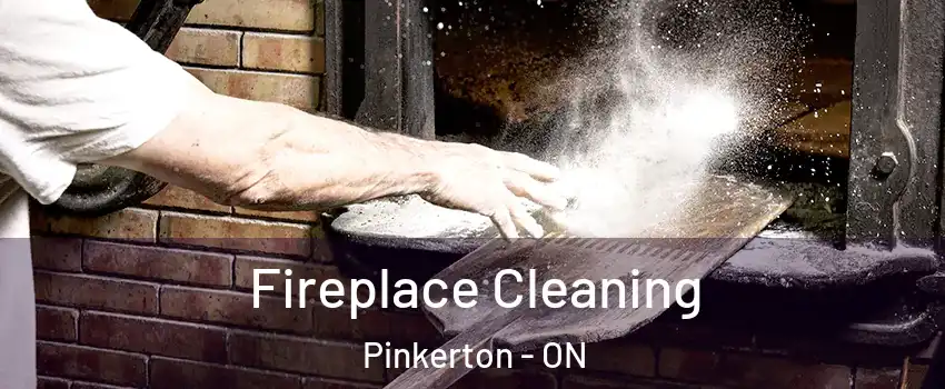  Fireplace Cleaning Pinkerton - ON