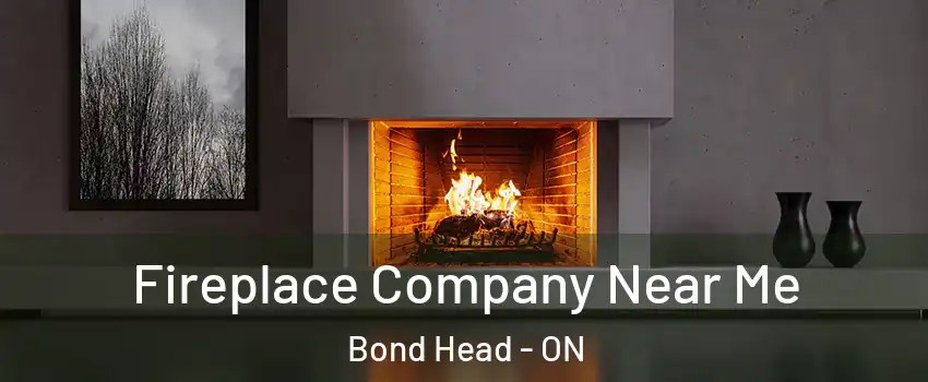  Fireplace Company Near Me Bond Head - ON