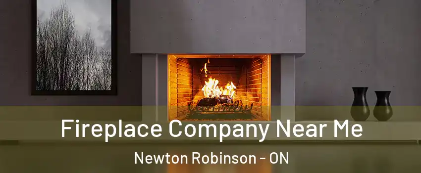 Fireplace Company Near Me Newton Robinson - ON