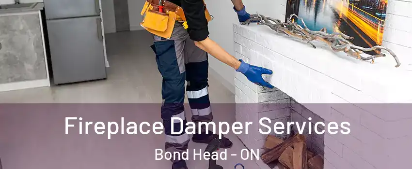  Fireplace Damper Services Bond Head - ON