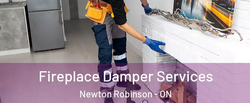 Fireplace Damper Services Newton Robinson - ON