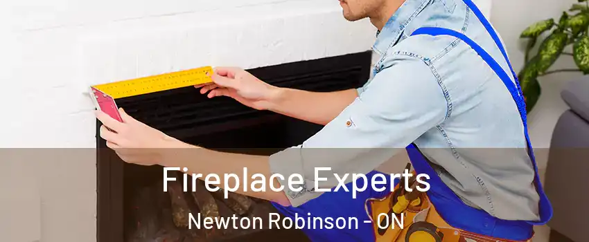  Fireplace Experts Newton Robinson - ON