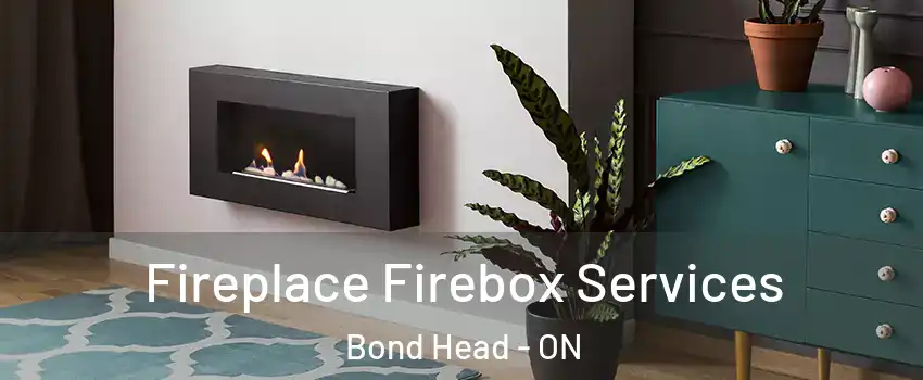  Fireplace Firebox Services Bond Head - ON