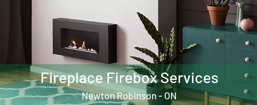  Fireplace Firebox Services Newton Robinson - ON