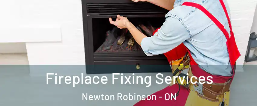 Fireplace Fixing Services Newton Robinson - ON