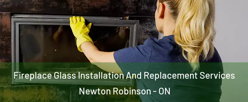  Fireplace Glass Installation And Replacement Services Newton Robinson - ON