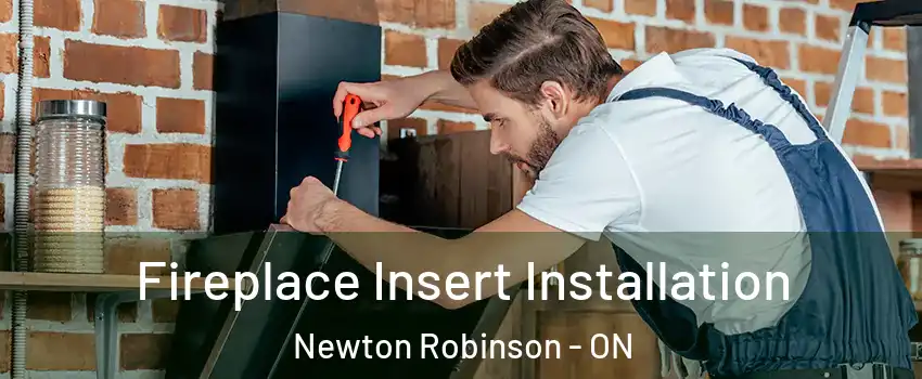  Fireplace Insert Installation Newton Robinson - ON