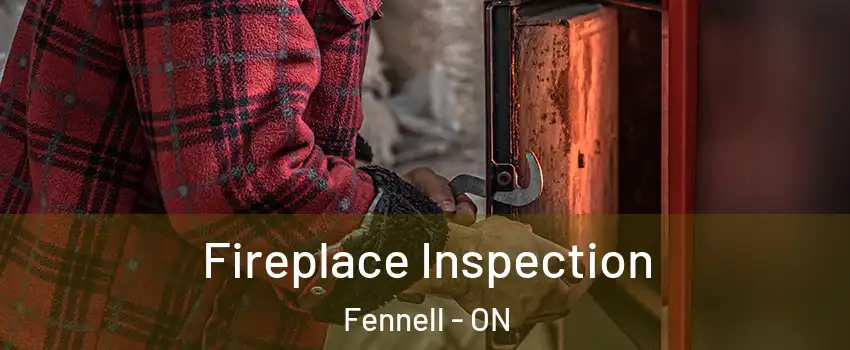  Fireplace Inspection Fennell - ON