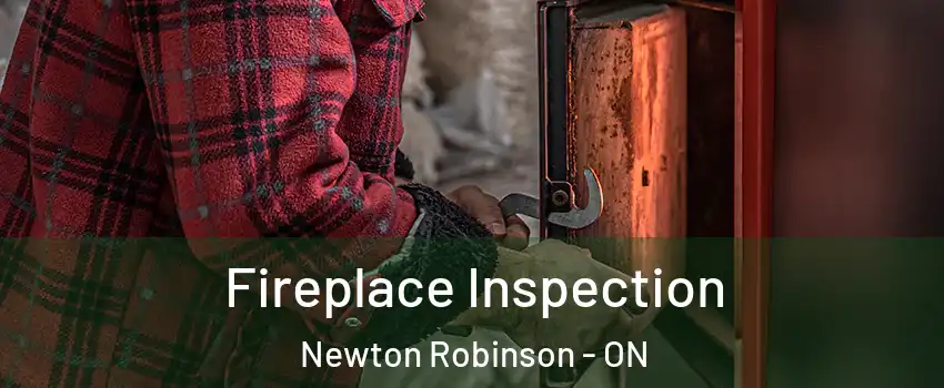  Fireplace Inspection Newton Robinson - ON