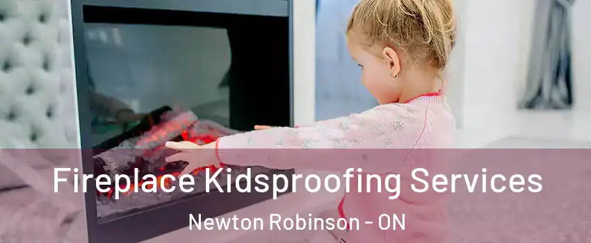  Fireplace Kidsproofing Services Newton Robinson - ON