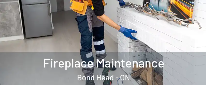  Fireplace Maintenance Bond Head - ON